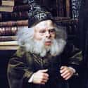 Professor Filius Flitwick on Random Greatest Harry Potter Characters