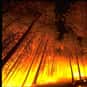 Fire is listed (or ranked) 9 on the list The Top 10 Ways I Would Kill My Boyfriend. . .