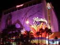 Flamingo Las Vegas on Random Las Vegas Casinos