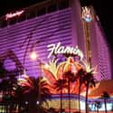 Flamingo Las Vegas on Random Casinos on the Las Vegas Strip