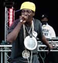 Flavor Flav on Random Celebrities Who Have Been Charged With Domestic Abuse
