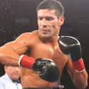Welterweight, Light middleweight, Middleweight   Sergio Gabriel "Maravilla" Martínez is an Argentine professional boxer.