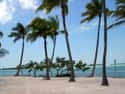 Florida Keys on Random Best Girls' Trip Destinations