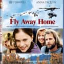 Fly Away Home on Random Best Movies About Men Raising Kids