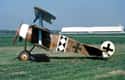 Fokker Dr.I on Random Best World War 1 Airplanes