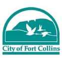 Fort Collins on Random Best US Cities for Beer
