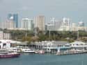 Fort Lauderdale on Random Best Southern Cities To Live In
