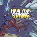 Four Year Strong on Random Best Pop Punk Bands
