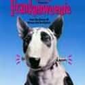 Shelley Duvall, Daniel Stern, Barret Oliver   Frankenweenie is a 1984 Tim Burton-directed short film produced with Buena Vista Distribution and co-written by Burton with Leonard Ripps.