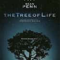 Brad Pitt, Sean Penn, Jessica Chastain   The Tree of Life is a 2011 American experimental drama film written and directed by Terrence Malick and starring Brad Pitt, Sean Penn, and Jessica Chastain.