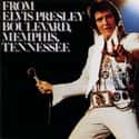 From Elvis Presley Boulevard, Memphis, Tennessee on Random Best Elvis Presley Albums