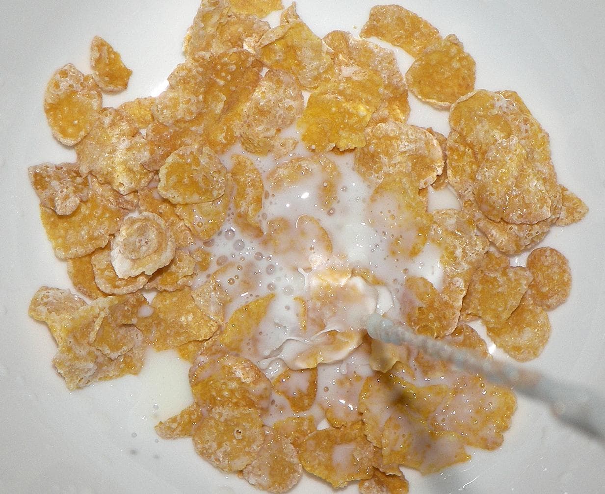 Frosted Flakes