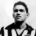 Garrincha on Random Greatest South American Footballers