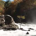 Gauley River on Random Best American Rivers for Rafting