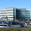 Genentech on Random Companies with Highest Paid Salary Employees
