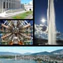 Geneva on Random Global Cities