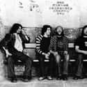 Experimental rock, Folk rock, Jazz fusion   Gentle Giant were a British progressive rock band active between 1970 and 1980.