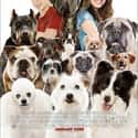 2009   Hotel for Dogs is a 2009 American family comedy film based on the 1971 Lois Duncan novel of the same name.