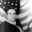 The Autobiography of Alice B. Toklas, The Making of Americans, Three Lives   Gertrude Stein was an American writer of novels, poetry and plays.
