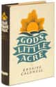 Erskine Caldwell   God's Little Acre is a 1933 novel by Erskine Caldwell about a dysfunctional farming family in Georgia obsessed with sex and wealth.