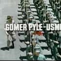 Gomer Pyle, U.S.M.C. on Random Best Military TV Shows