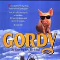 1995   Gordy is a 1995 American family comedy-drama film about a piglet named Gordy who searches for his missing family.