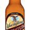 Yuengling Premium Beer on Random Best Beers from Around World