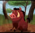 Pumbaa on Random Best Fat Cartoon Characters on TV