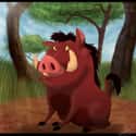 Pumbaa on Random Best Fat Cartoon Characters on TV