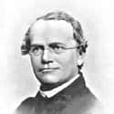 Dec. at 62 (1822-1884)   Gregor Johann Mendel was a German-speaking Moravian scientist and Augustinian friar who gained posthumous fame as the founder of the modern science of genetics.