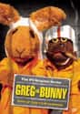 Greg the Bunny on Random Best Puppet TV Shows