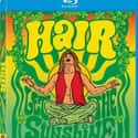 1979   Hair is a 1979 musical comedy-drama and film adaptation of the 1968 Broadway musical of the same name about a Vietnam draftee who meets and befriends a tribe of long-haired hippies on his way to...