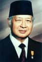 Suharto on Random Bizarre Stuff You Never Knew Dictators Collected