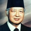 Suharto on Random Bizarre Stuff You Never Knew Dictators Collected