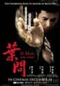 Ip Man on Random Best MMA Movies About Fighting