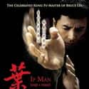Ip Man on Random Best MMA Movies About Fighting