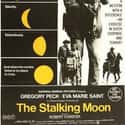The Stalking Moon on Random Greatest Western Movies of 1960s