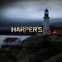 Harper's Island on Random Best Shows Canceled After a Single Season