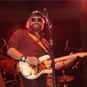Hank Williams, Jr. is listed (or ranked) 16 on the list The Top Country Artists of All Time