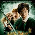 Emma Watson, Daniel Radcliffe, John Cleese   Harry Potter and the Chamber of Secrets is a 2002 fantasy film directed by Chris Columbus and distributed by Warner Bros. Pictures. It is based on the novel of the same name by J. K.
