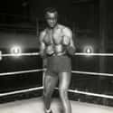 Harry "The Black Panther" Wills was a heavyweight boxer who three times held the World Colored Heavyweight Championship.