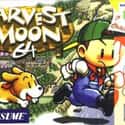 Simulation video game, Role-playing video game, Construction and management simulation   Harvest Moon 64, released in Japan as Bokujō Monogatari 2, is a farm simulation video game developed by Victor Interactive Software and published by Natsume Co., Ltd for the Nintendo 64 video...
