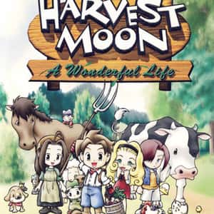 Harvest Moon: A Wonderful Life