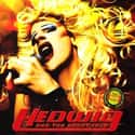 Hedwig and the Angry Inch on Random Best LGBTQ+ Comedy Movies