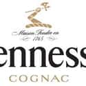 Hennessy on Random Very Best Liquor Brands