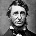 Dec. at 45 (1817-1862)   Henry David Thoreau was an American author, naturalist, transcendentalist, tax resister, development critic, surveyor, sage writer and philosopher.
