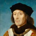 Henry VII of England on Random Vivid Reimaginings Of Historical Figures In Modern Styles