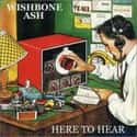 Here to Hear on Random Best Wishbone Ash Albums