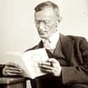 Hermann Hesse on Random Best Novelists