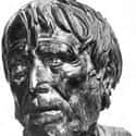 Hesiod was a Greek poet generally thought by scholars to have been active between 750 and 650 BC, around the same time as Homer.